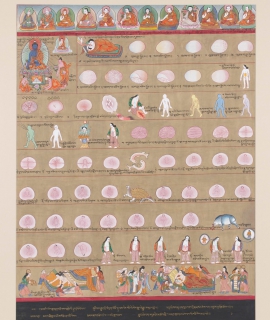 Thangka Artwork Depicting Human Embryology in Medicine