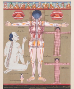 Anatomical Thangka &ndash; Rear Perspective