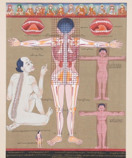 Anatomical Thangka – Rear Perspective