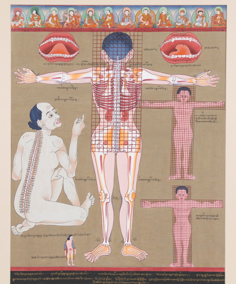 Anatomical Thangka &ndash; Rear Perspective