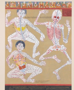 Thangka Painting Depicting the Nervous System
