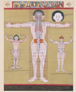 Tibetan Medical Thangka with White Channels