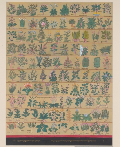 Thangka of Blue Beryll Featuring Tibetan Medicinal Plants