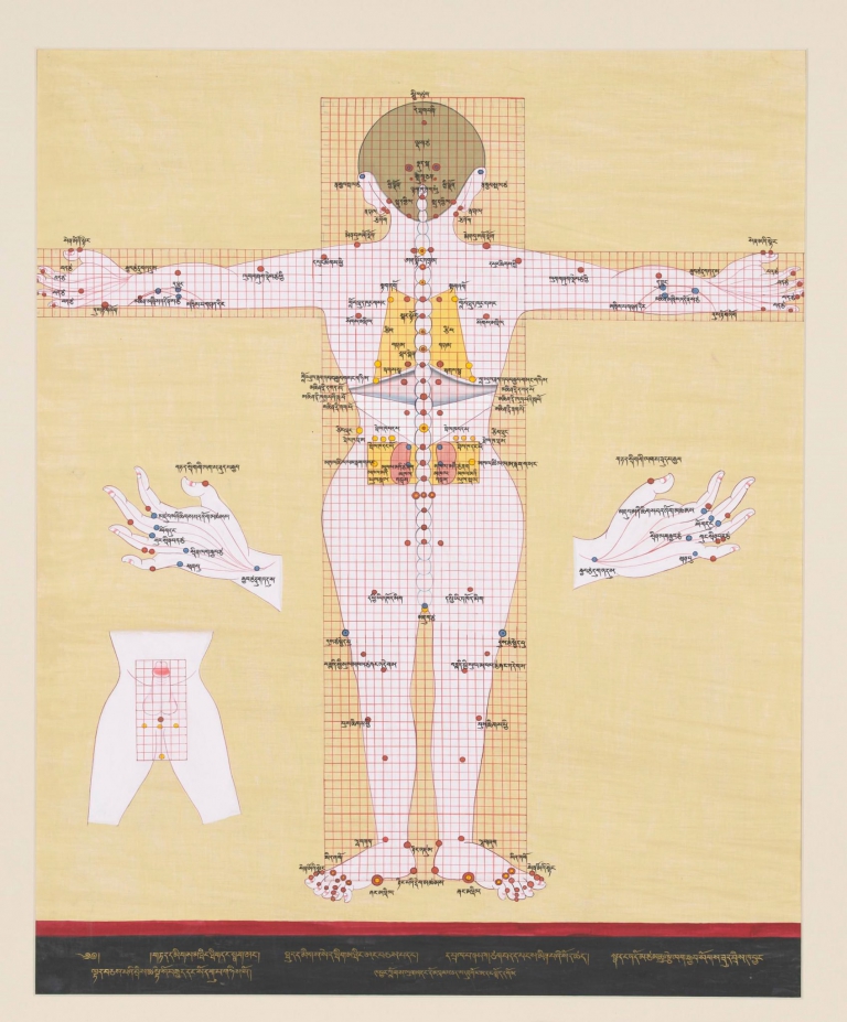 Medical Thangka Depicting Bloodletting, Surgical, and Moxibustion Points from the Rear Perspective