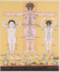 Artistic Representation of Primary and Secondary Causes of Illness