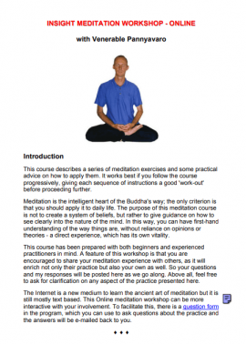 Insight Meditation Workshop