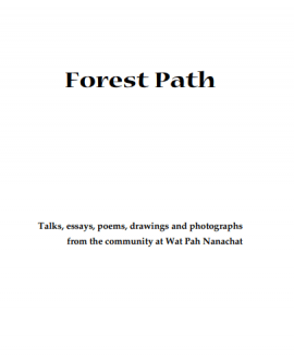 Forest Path