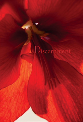 Discernimiento