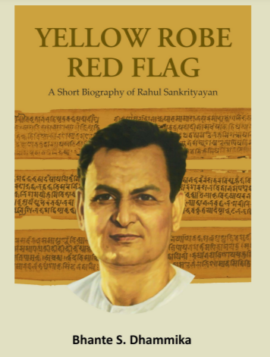 Yellow Robe, Red Flag