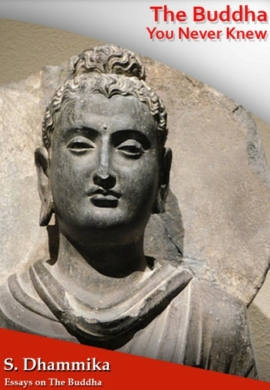 The Buddha You Never Knew