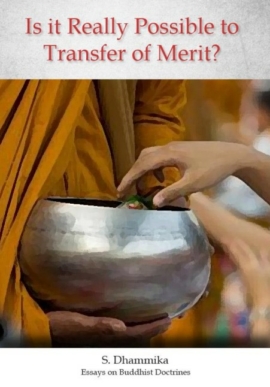 Is it Really Possible to Transfer of Merit?