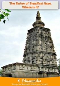 The Sanctuary of Unwavering Vision. Where can it be found?