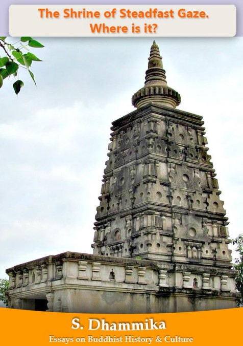 The Sanctuary of Unwavering Vision. Where can it be found?