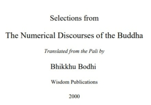 The Journey of the Buddha