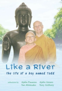 Flowing Through Life: The Journey of a Boy Named Todd