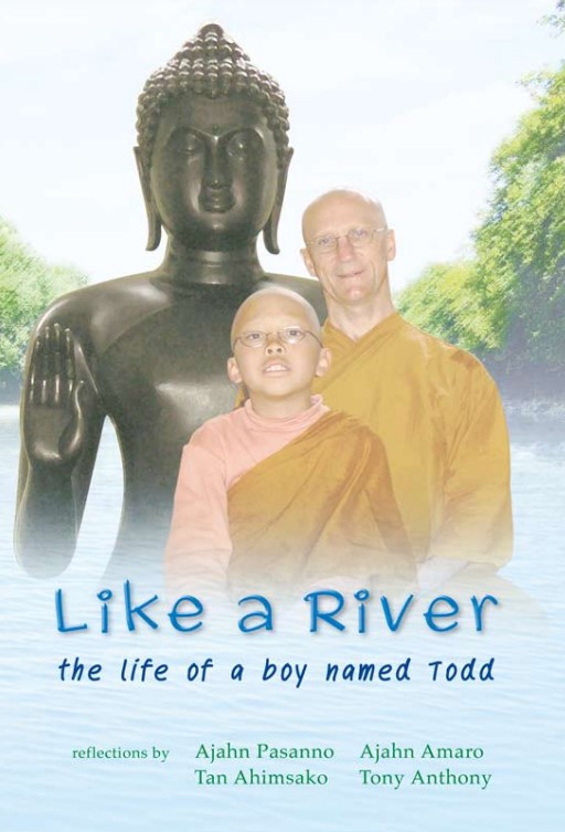 Flowing Through Life: The Journey of a Boy Named Todd