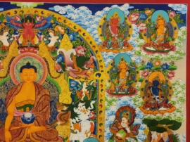 Shakyamuni Buddha Thangka on Cotton Canvas