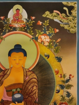 Tibetan Thangka of Shakyamuni Buddha