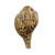 Hand-Carved Lakshmi Conch Shell