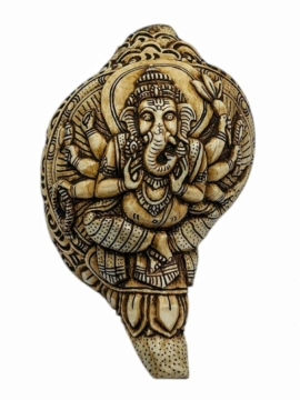 Concha tallada a mano de Ganesh