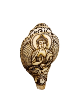 Tallado en concha del Buda Amoghasiddhi