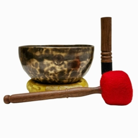 Full Moon Bowl in Seven Bronze Metal