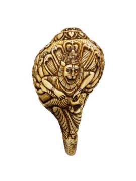 Concha de Narayana Narsingha